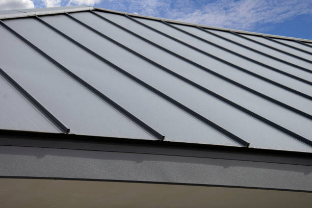 Professional Roofing Services in Ortonville, MI